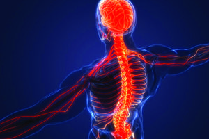 csm_20240626_neurosciences-charron-couverture_cee304732a
