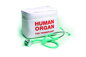 human organ 2